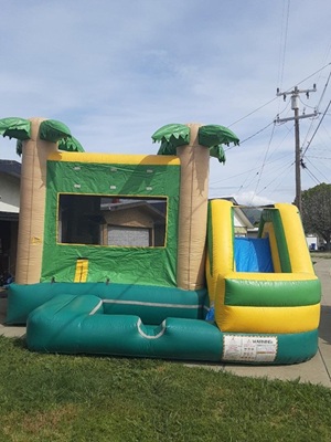 Inflatable Kids Party water slide Rentals in the Bay Area California